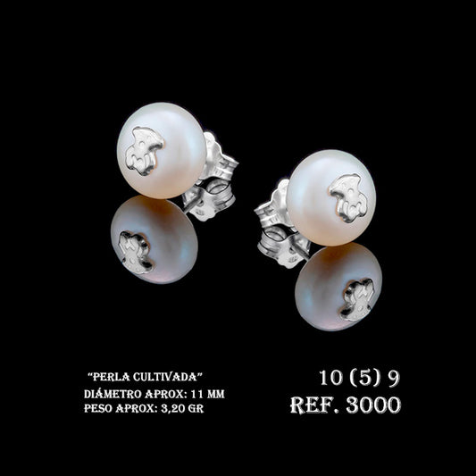 Pendientes Ref.3000