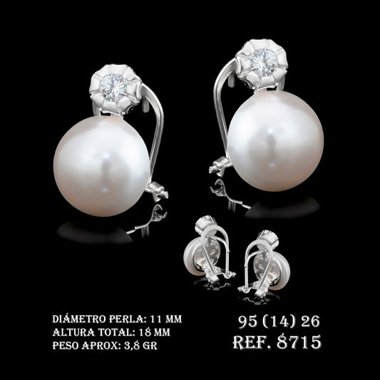 Pendientes Ref.8715