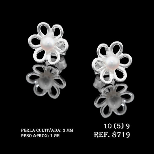 Pendientes Ref.8719